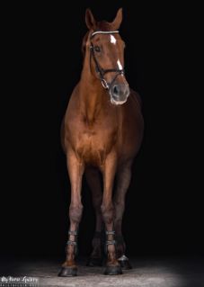 Elad� 21 �ves kisb�ri f�lv�r kanca 