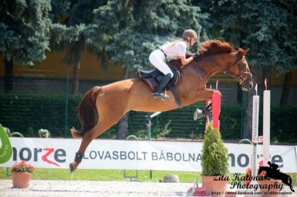 Elad� 21 �ves kisb�ri f�lv�r kanca 