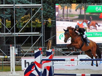 Elad� 21 �ves kisb�ri f�lv�r kanca 