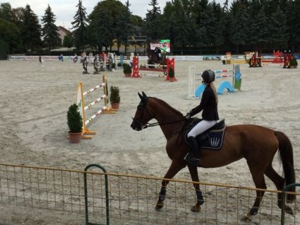 Elad� 21 �ves kisb�ri f�lv�r kanca 