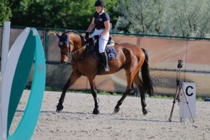 Elad 17 ves nmet sportl herlt 