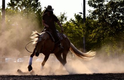 13 �ves quarter horse m�n 