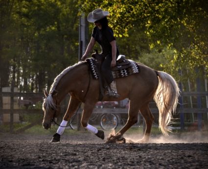 13 �ves quarter horse m�n 