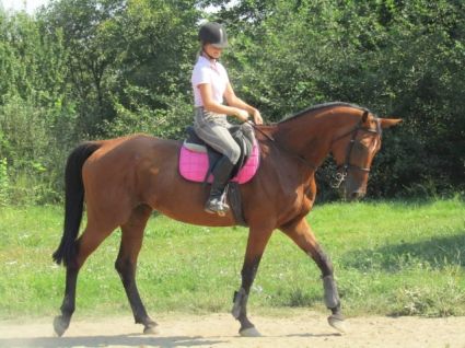 Elad� 19 �ves angol teliv�r kanca 