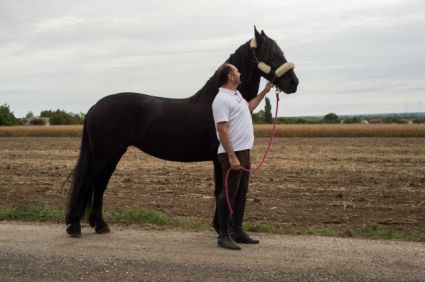 Elad 18 ves frz kanca 