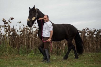 Elad 18 ves frz kanca 