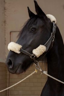 Elad 18 ves frz kanca 