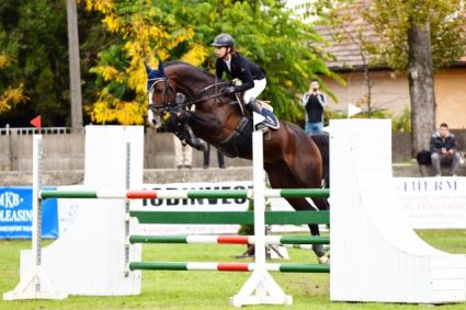 15 �ves holland sportl�/KWPN m�n 