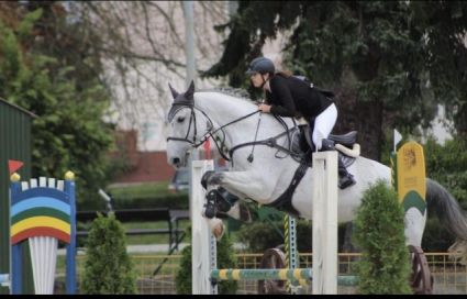 Elad 16 ves zweibrcker herlt 