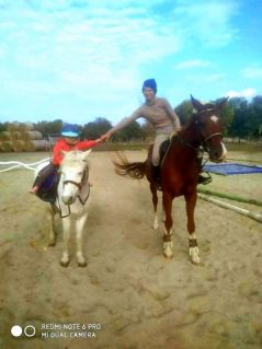 Elad� 10 �ves magyar sportl� her�lt 