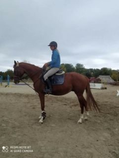 Elad� 10 �ves magyar sportl� her�lt 