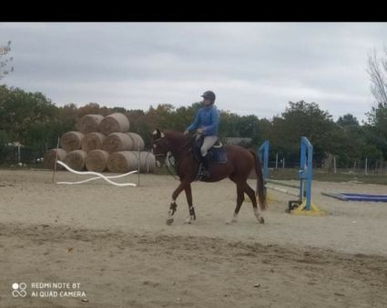 Elad� 10 �ves magyar sportl� her�lt 