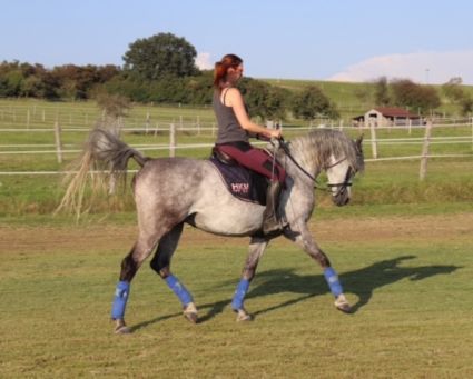 Elad� 10 �ves arab her�lt 