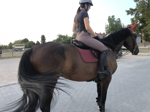 Elad� 9 �ves belga melegv�r� kanca 