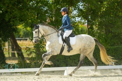 Elad� 13 �ves andal�z her�lt 
