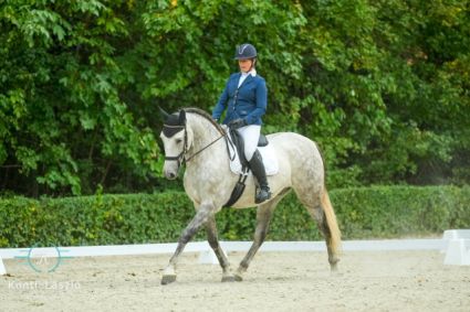 Elad� 13 �ves andal�z her�lt 
