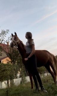 Elad 7 ves welsh pni kanca 