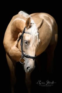 10 �ves magyar f�lv�r m�n 