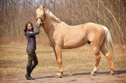 10 �ves magyar f�lv�r m�n 