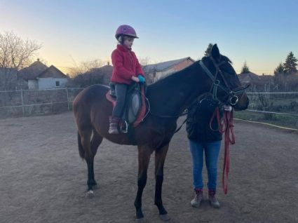 Elad� 6 �ves angol teliv�r m�n 