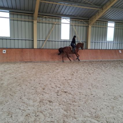 Elad� 11 �ves angol teliv�r kanca 