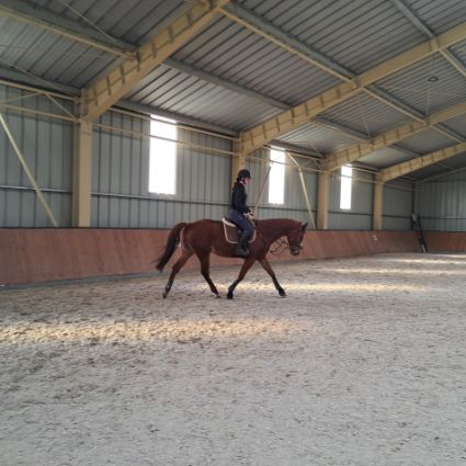 Elad� 11 �ves angol teliv�r kanca 