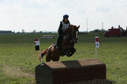 Elad� 11 �ves angol teliv�r kanca 