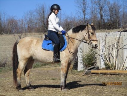 Elad� 9 �ves sportp�ni her�lt 