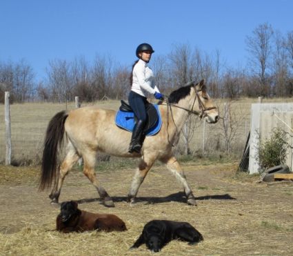 Elad� 9 �ves sportp�ni her�lt 