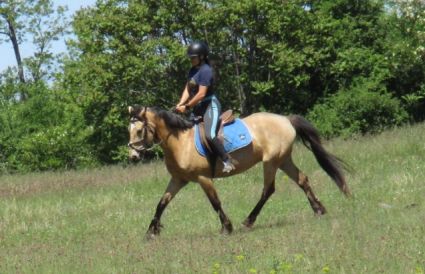 Elad� 9 �ves sportp�ni her�lt 