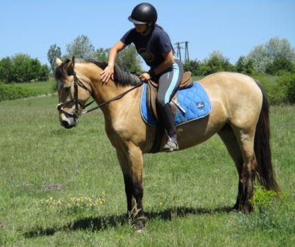 Elad� 9 �ves sportp�ni her�lt 