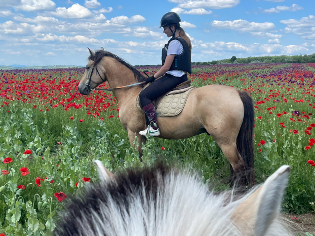 Elad� 9 �ves sportp�ni her�lt 