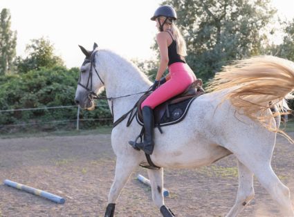 Elad� 16 �ves gelderlandi kanca 