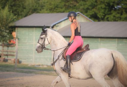 Elad� 16 �ves gelderlandi kanca 