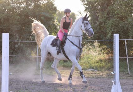 Elad� 16 �ves gelderlandi kanca 