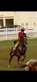 Elad� 16 �ves �get� her�lt 