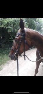 Elad� 16 �ves �get� her�lt 