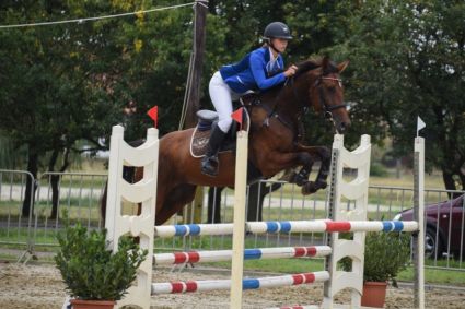 Elad� 7 �ves magyar sportl� kanca 