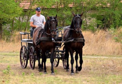 Elad� 8 �ves n�niusz m�n 