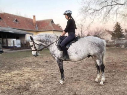 Elad� 12 �ves magyar sportl� her�lt 