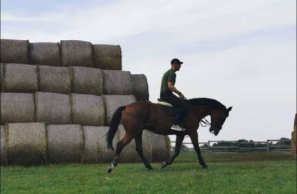 Elad 10 ves magyar sportflvr kanca 