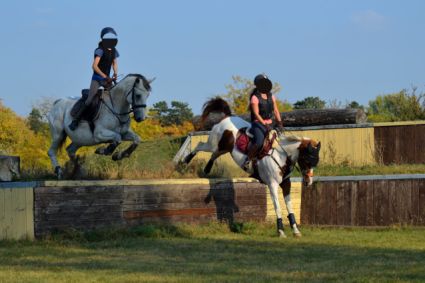 Elad 12 ves arab flvr (arab fajta) kanca 