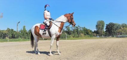 Elad 12 ves arab flvr (arab fajta) kanca 