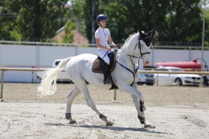 Elad 13 ves magyar sportl herlt 