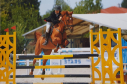 Elad 14 ves magyar sportflvr herlt 
