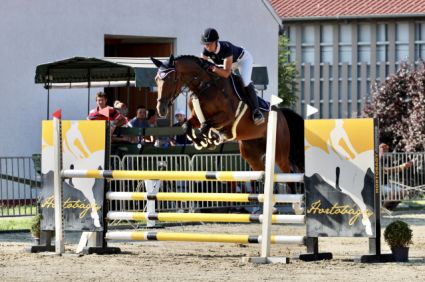 Elad� 10 �ves magyar sportl� kanca 