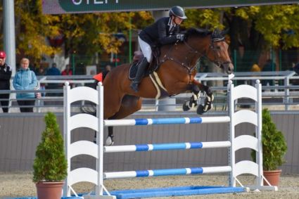 Elad� 10 �ves magyar sportl� kanca 