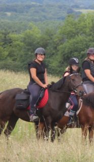 Elad� 12 �ves magyar f�lv�r kanca 