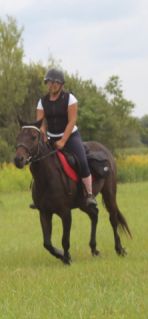 Elad� 12 �ves magyar f�lv�r kanca 