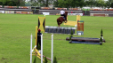 Elad 12 ves holland sportl/KWPN herlt 